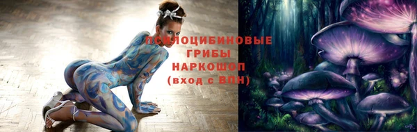 mdpv Бородино
