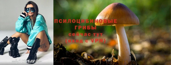 mdpv Бородино
