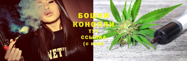 стаф Долгопрудный