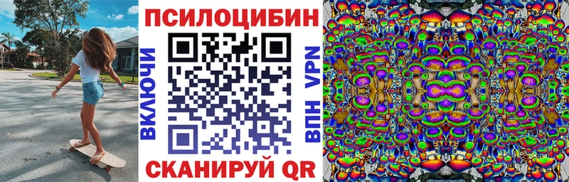 ОМГ ОМГ зеркало  Вязники  Псилоцибиновые грибы Psilocybe 